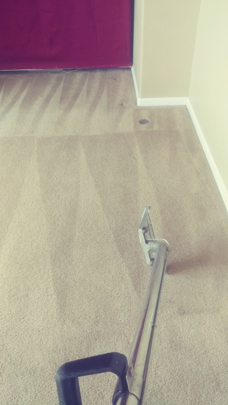 Scrubbing away carpet cleaning